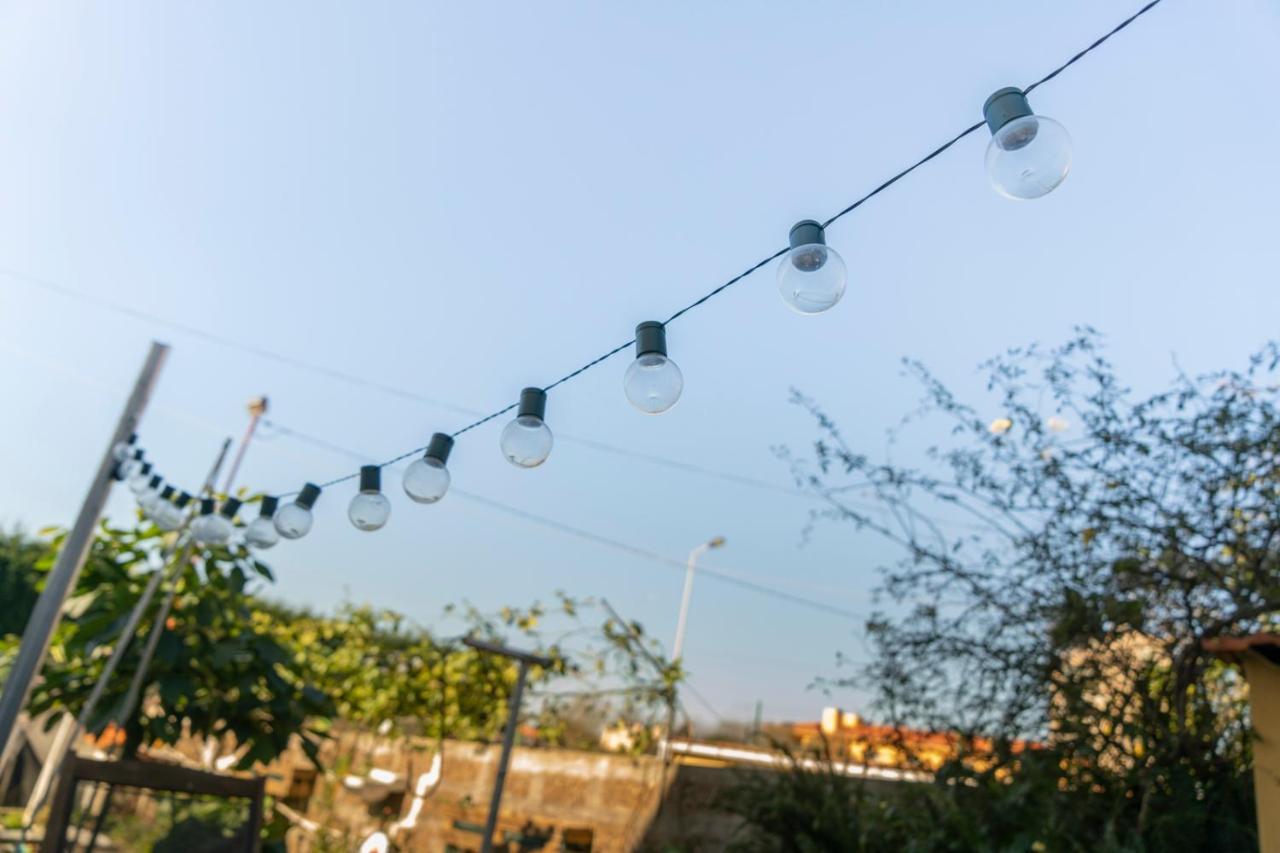 Bed and Breakfast Growth House Porto Zewnętrze zdjęcie