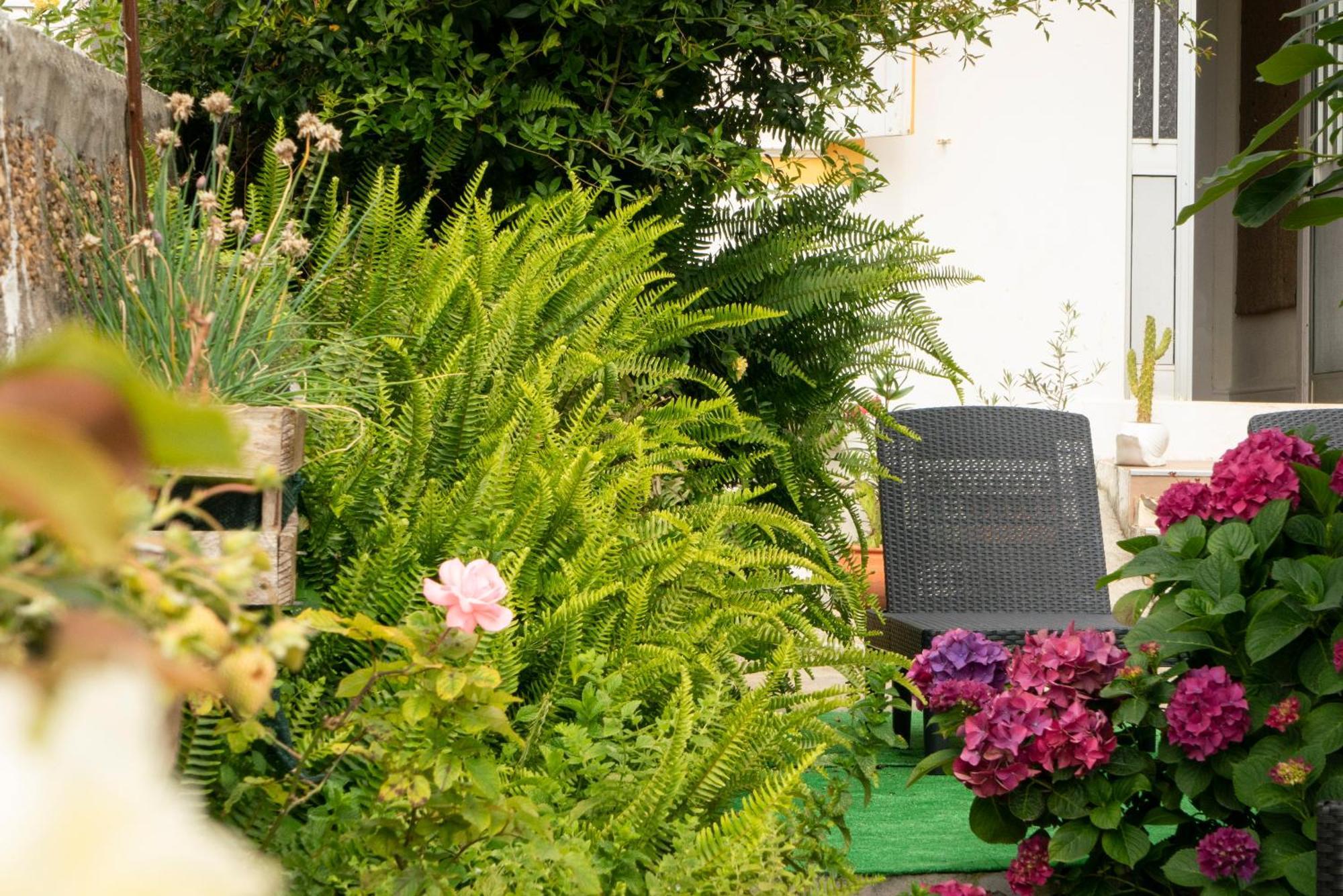 Bed and Breakfast Growth House Porto Zewnętrze zdjęcie
